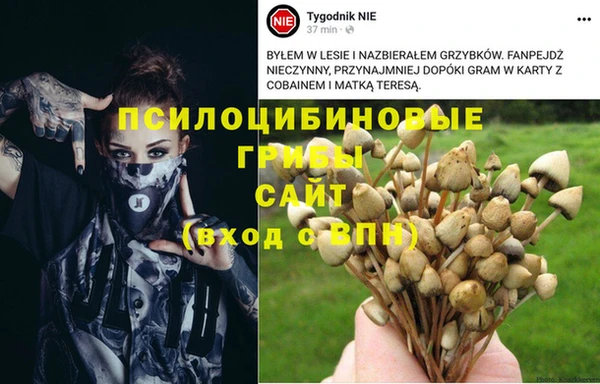 прущая мука Абинск