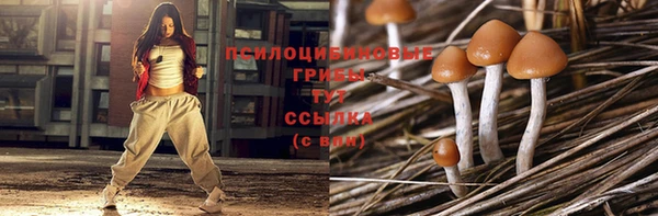 кокс Абаза